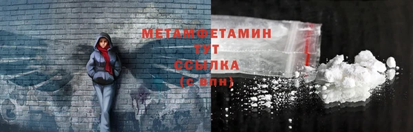 сатива Новокубанск