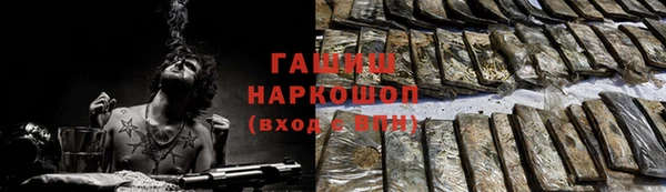 сатива Новокубанск