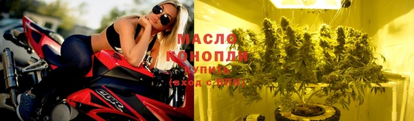 сатива Новокубанск