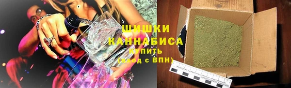 стафф Новозыбков