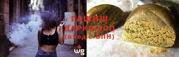 стафф Новозыбков