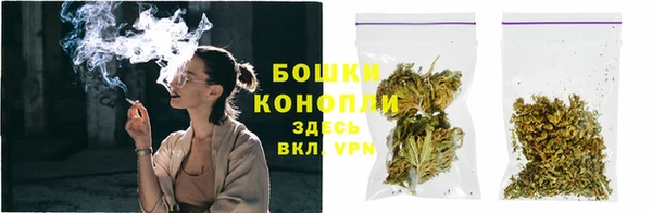 стафф Новозыбков