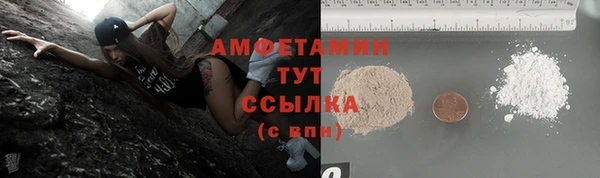 сатива Новокубанск