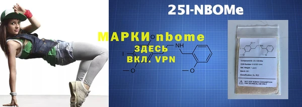 стафф Новозыбков