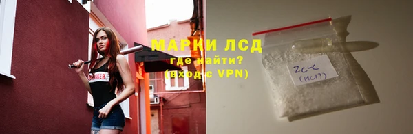 сатива Новокубанск