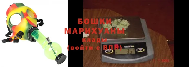 сатива Новокубанск