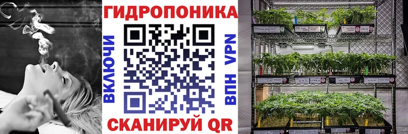 ссылка на мегу онион  Энгельс  Бошки марихуана семена 